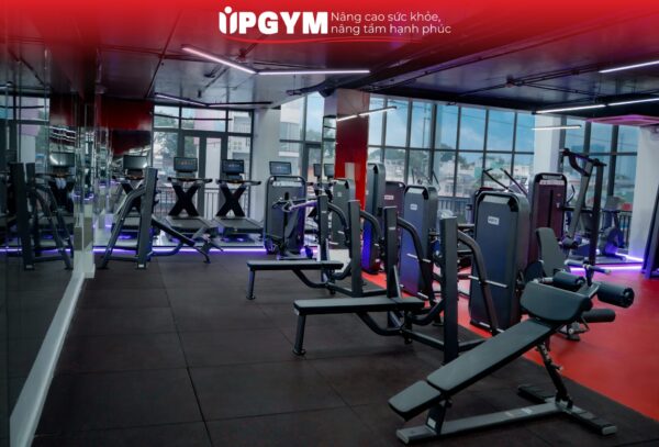 UP GYM - Hệ Thống Lớp Tập Giảm Cân Chuẩn Khoa Học