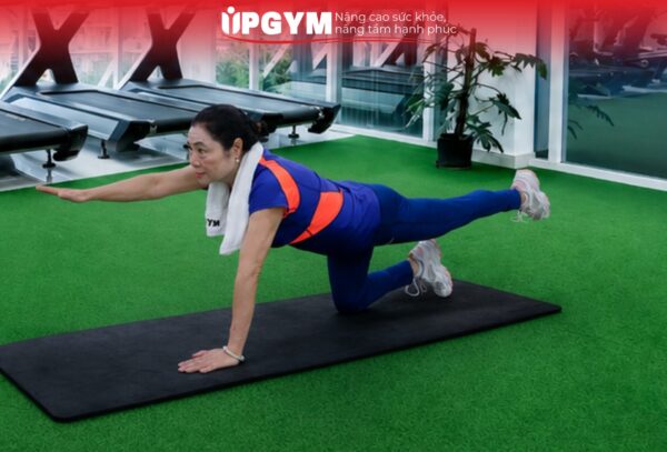 UP GYM - Hệ Thống Lớp Tập Giảm Cân Chuẩn Khoa Học