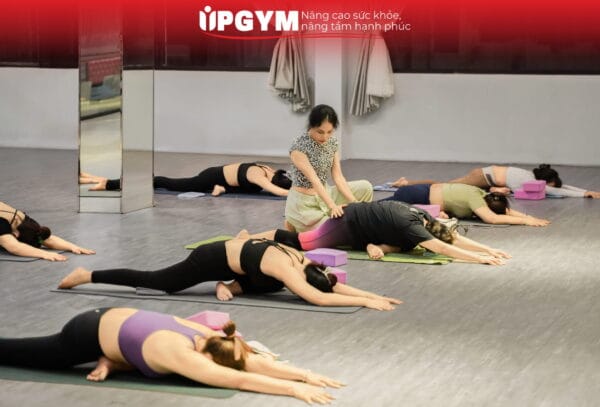 Top 1 Tập Yoga Chữa Đau Lưng Quận 7: Phục Hồi Cột Sống Cho Dân Văn Phòng UP GYM - Hệ Thống Lớp Tập Giảm Cân Chuẩn Khoa Học