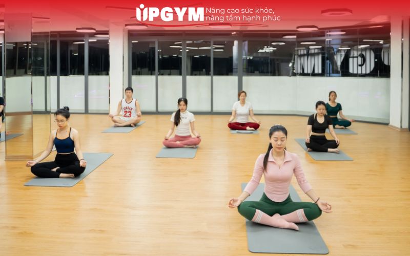 Bảng giá tập Yoga theo tháng chi tiết tại UPGYM mới nhất 2026 Phòng tập có đội ngũ huấn luyện viên giàu kinh nghiệm, không gian rộng rãi và trang thiết bị hiện đại thường có giá tập yoga cao hơn