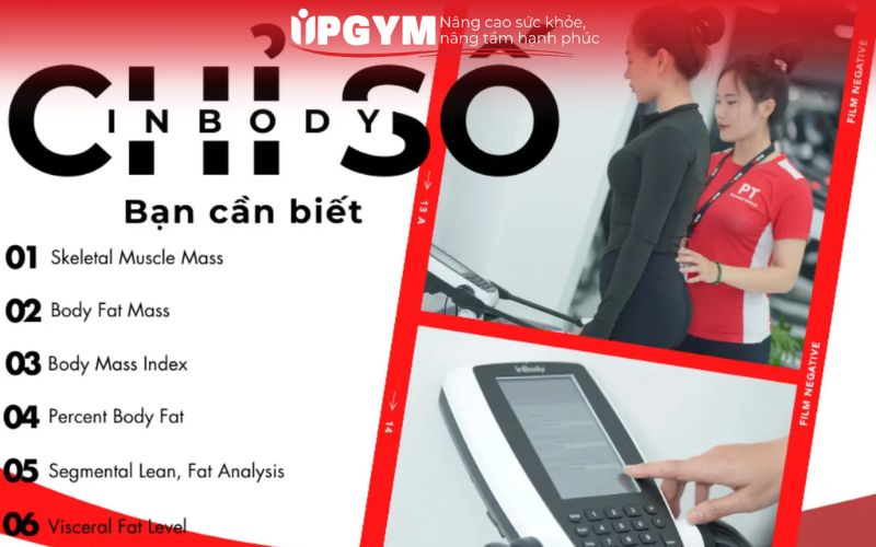 Bảng giá tập Yoga theo tháng chi tiết tại UPGYM mới nhất 2026 Ngoài giá tập yoga, giá trị của một gói tập còn nằm ở những tiện ích và chính sách đi kèm