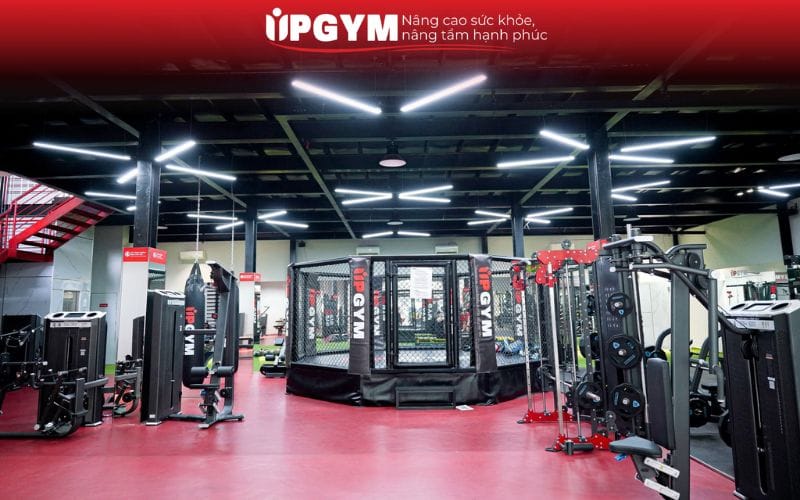 Top 1 địa điểm tập boxing TPHCM giá tốt chất lượng cao Trang thiết bị hiện đại, không phát sinh chi phí dụng cụ