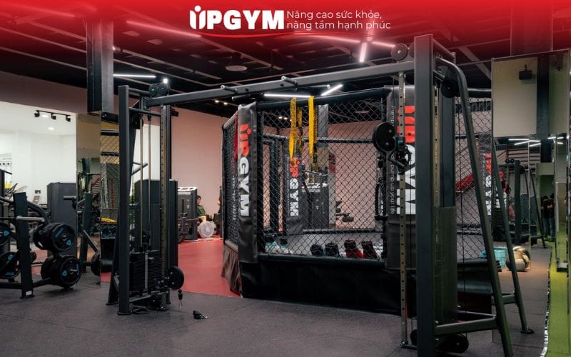 Top 1 địa điểm tập boxing TPHCM giá tốt chất lượng cao Trang thiết bị hiện đại, không phát sinh chi phí dụng cụ