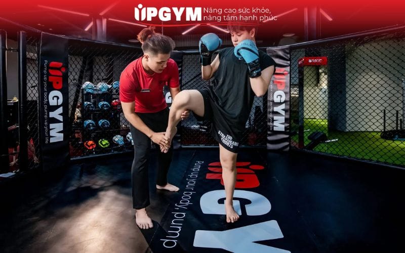 Top 1 địa điểm tập boxing TPHCM giá tốt chất lượng cao Chương trình tập thử 7 ngày miễn phí